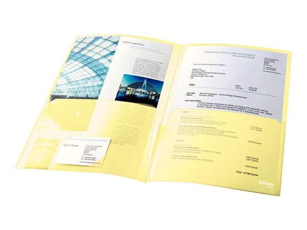 Esselte COLOUR COLLECTION SHEET 5 SHEET