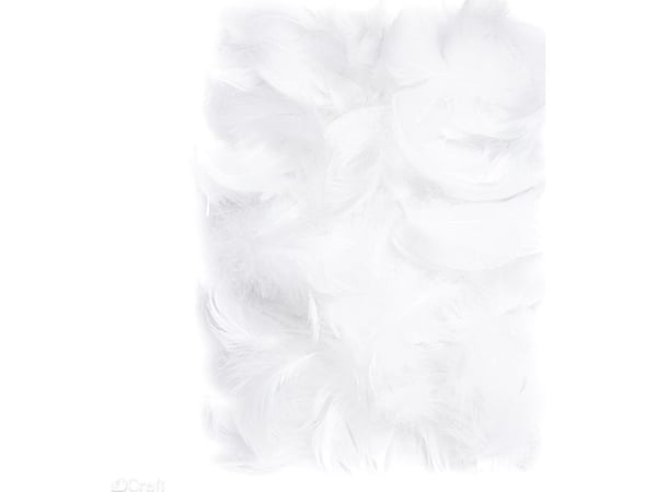Dalprint fjær DPCRAFT 5–12 cm 10 g hvit