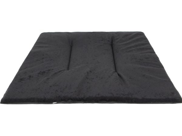 Hobbydog R5 BUDDY PUSH - BLACK WELLA - MUSTA WELLA