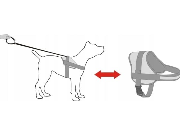 Hobbydog R5 sele Julletta - beige