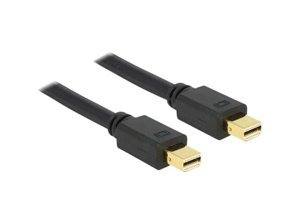 Delock - DisplayPort-kabel - Mini DisplayPort (hann) til Mini DisplayPort (hann) - 2 m - svart