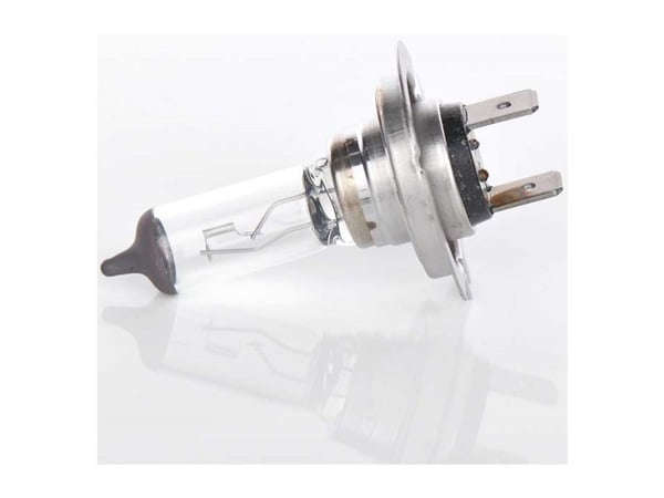 Bosch H7 Auton polttimo Pure Light