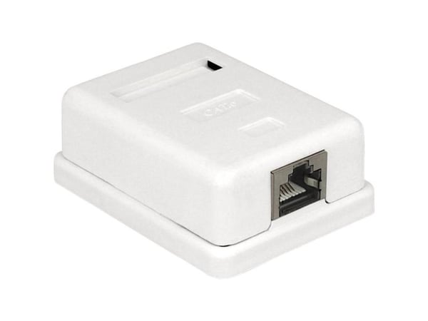 DeLOCK 86169, RJ-45, Valkoinen, 66 mm, 50 mm, 25 mm