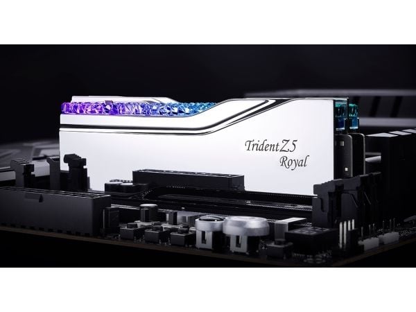 G.Skill Trident Z5 Royal - DDR5 - sats - 48 GB: 2 x 24 GB - DIMM 288-pin - 8000 MT/s / PC5-64000 - CL40 - 1.35 V - ej buffrad - icke ECC - silver