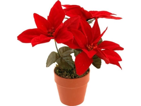 Home Styling Collection Artificial Star of Bethlehem (her kan den bestå av 35 deler :(:(