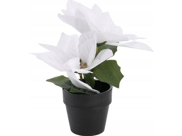 Home Styling Collection stjerne julestjerne i potte, høyde 18 cm Home Styling Collection stjerne julestjerne i potte, høyde 18 cm