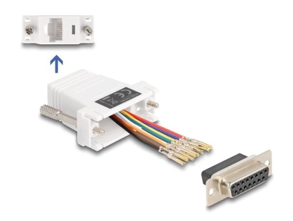 Delock - Nettverksadapter - 15 pin D-Sub (DB-15) (hunn) skrubar til RJ-45 (hunn) - hvit