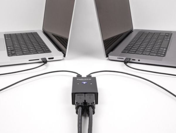 Delock USB 2.0 -kytkin 2 PC:lle 4 laitteelle