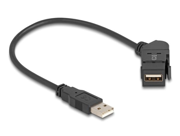 Delock - USB-forlengelseskabel - USB (hann) rett til USB (hunn) angled, panel mountable - USB 2.0 - 0.8 A - 30 cm - svart