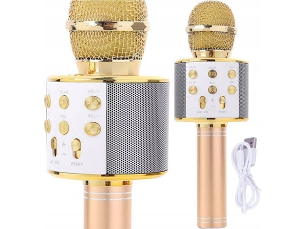 Gotel Q17D karaoke-sett med 2 mikrofoner og høyttaler