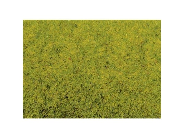 NOCH Scatter Grass “Spring Meadow”, Grønn