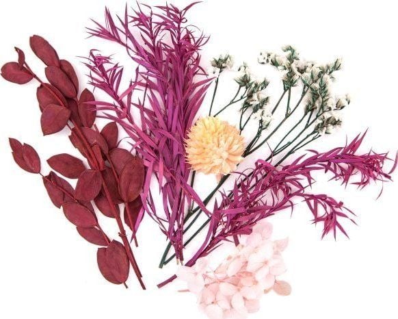 DP Craft tørkede dekorblomster, bordeaux, rosa
