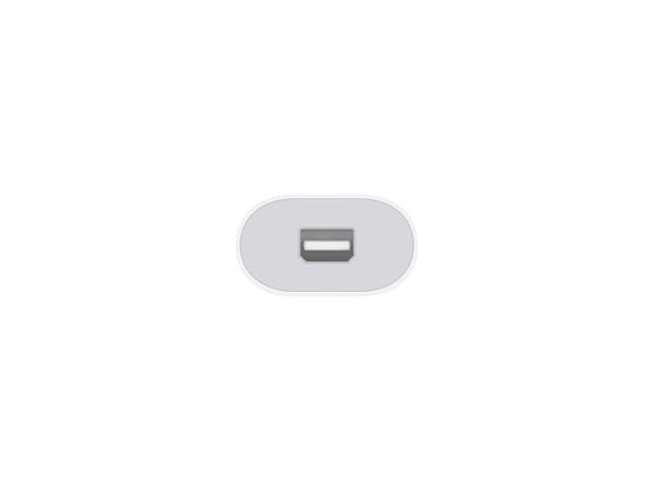 Apple Thunderbolt 3 (USB-C) to Thunderbolt 2 - Video adapter - USB-C (hann) til Mini DisplayPort (hunn) - USB4 / Thunderbolt 3 - toretnings
