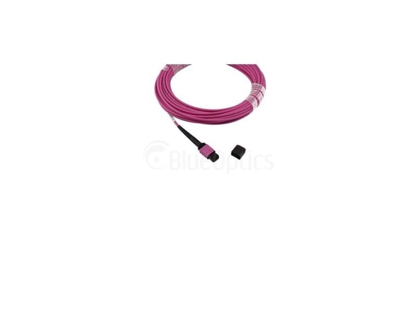 BlueOptics SFP6262FU50MKB, 50 m, OM4, MTP, MTP