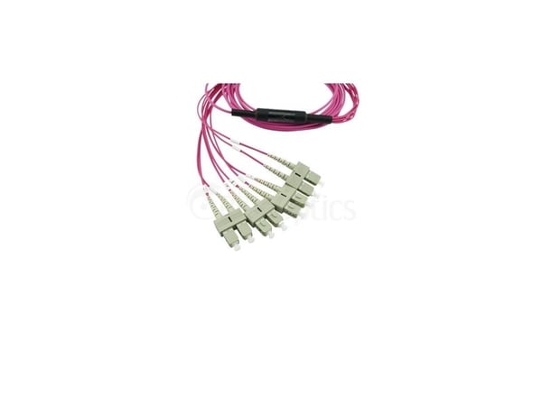 BlueOptics SFP6142FU2MKB, 2 m, OM4, MTP, 4x SC