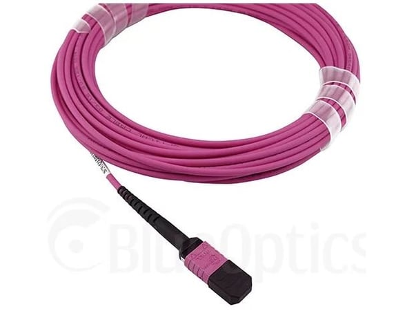 BlueOptics CBX-STH008BPQ-MXXN-UC4N-001M-BO, 1 m, OM4, MTP, 4xLC