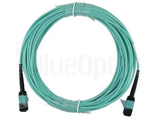 BlueOptics CBX-STC012BPF-MXXN-MXXN-020M-BO, 20 m, OM4, MTP, MTP