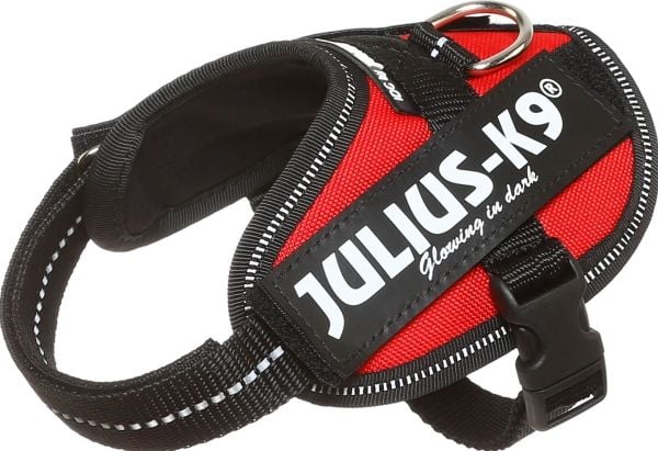 Julius-K9 K9 IDC sele, str.: Baby 2, rød 33-45 cm