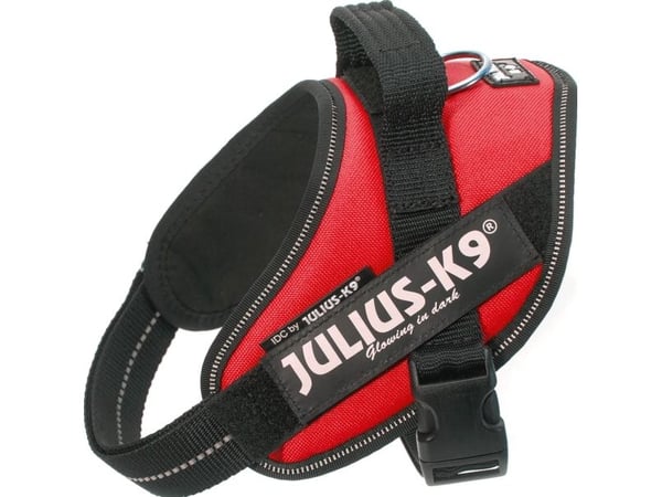 Julius-K9 K9 IDC sele, str.: Mini, rød 49-67 cm