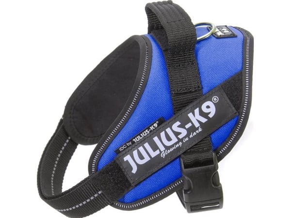 Julius-K9 K9 IDC valjaat, koko: Mini, sininen 49-67 cm