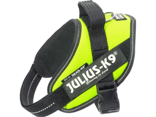 Julius-K9 K9 IDC valjaat, koko: Mini, neonvihreä 49-67 cm