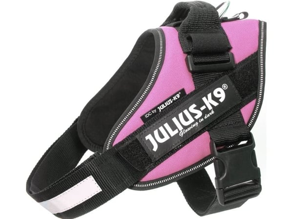Julius-K9 K9 IDC sele, str.: 0, pink 58-76 cm