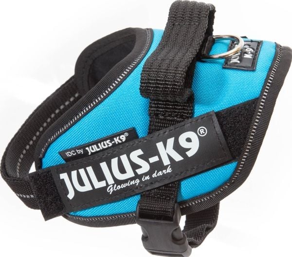 Julius-K9 K9 IDC sele, str.: Mini-Mini, Aquamarine 40-53 cm