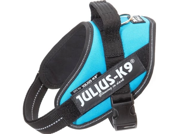 Julius-K9 K9 IDC sele, str.: Mini, Aquamarine 49-67 cm