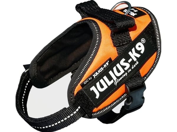 Julius-K9 K9 IDC sele, str.: Mini-Mini, UV Orange, 40-53 cm
