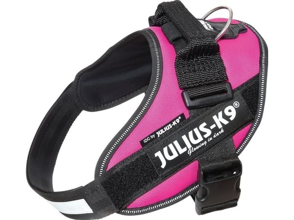 Julius-K9 K9 IDC sele, str.: 0, mørk pink, 58-76 cm