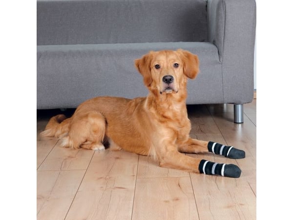 Trixie Hundesokker, non-slip, L–XL, 2 stk., sort