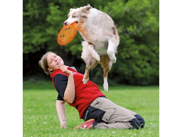 TRIXIE 33562, Hund, Disc, Blå, Plast, 23 cm