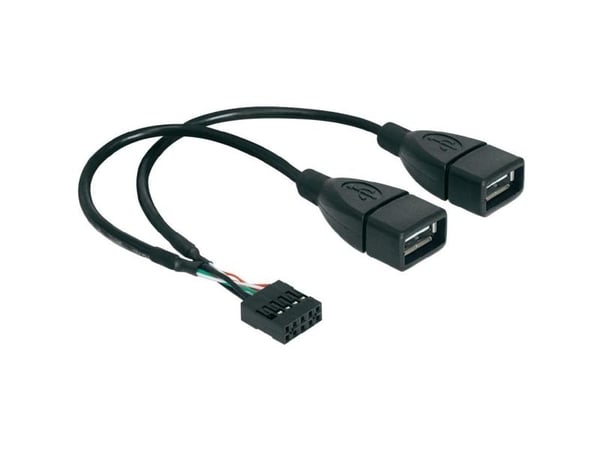 Delock - Intern-til-ekstern USB-kabel - USB (hunn) til 9-pins USB-header (hunn) - 20 cm
