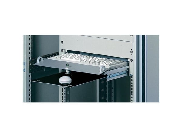 Rittal DK 7281.035, Stål, 2U, 482,6 mm, 250 mm, 39 cm, 7,7 kg