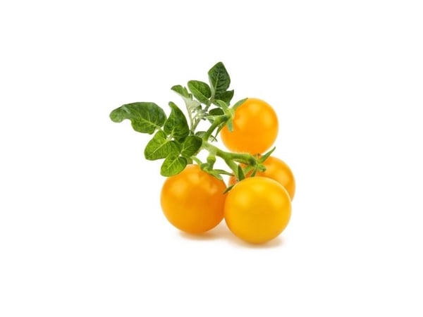 Click & Grow SGR57x3, Syötävä kasvi, Minitomaatti, Aloituspakkaus, 3 kpl, Laatikko