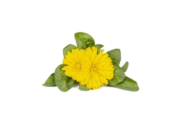 Click &amp; Grow siemenet smart pottiin - Medetkos, 3kpl.