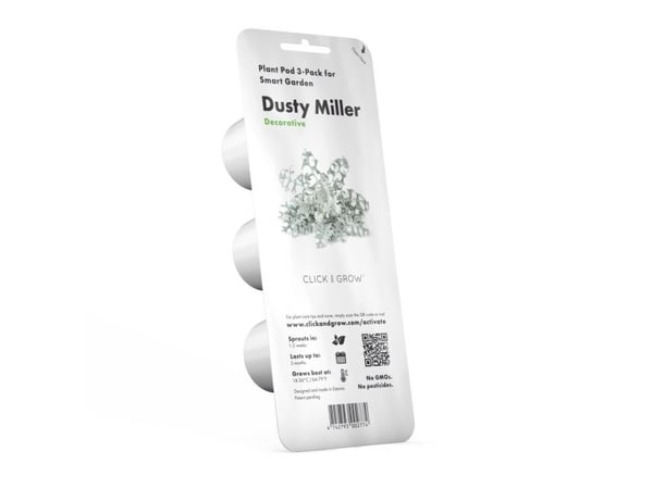 Click & Grow siemenet smart pottiin - Dusty Miller, 3 kpl.