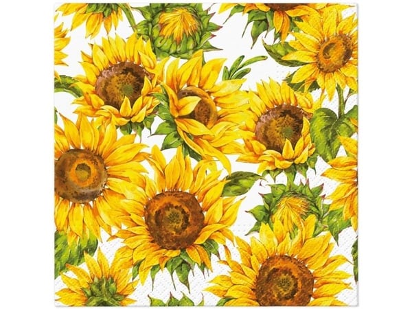 Paw Napkins Paper Dan Sunflowe 33X33cm 20Pcs Paw Napkins Paper Dan Sunflowe 33X33cm 20Pcs