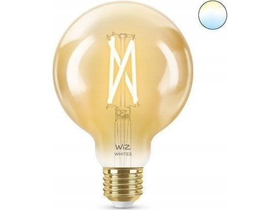 Wi-Fi BLE 50W G95 E27 E27 920-50 Amb 1PF/6