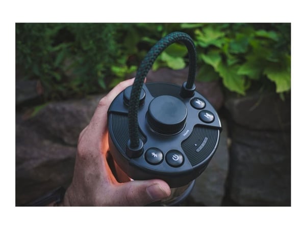 Pure Woodland Glow - Høyttaler - for bærbar bruk - trådløs - Bluetooth - 20 watt - grønn