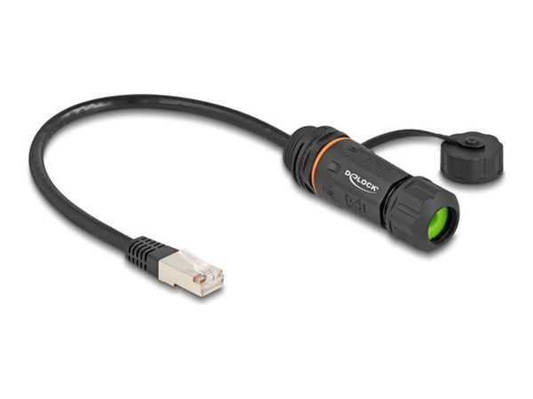 Delock - Nettverksforlengelseskabel - RJ-45 (hann) til RJ-45 (hunn) - 25 cm - 6 mm - STP - CAT 6a - sealing cap, M20 thread, dust and waterproof (I...