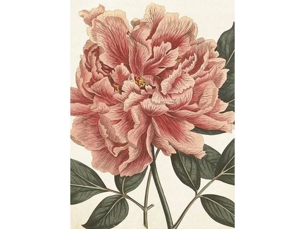 ST451 B6 carnet + konvolutt Peony ST451 B6 carnet + konvolutt Peony