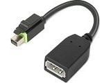 Lenovo - DisplayPort-adapter - Mini DisplayPort (hann) til DisplayPort (hunn) - for ThinkCentre M75t Gen 2; ThinkStation P320; P330; P330 Gen 2; P3...