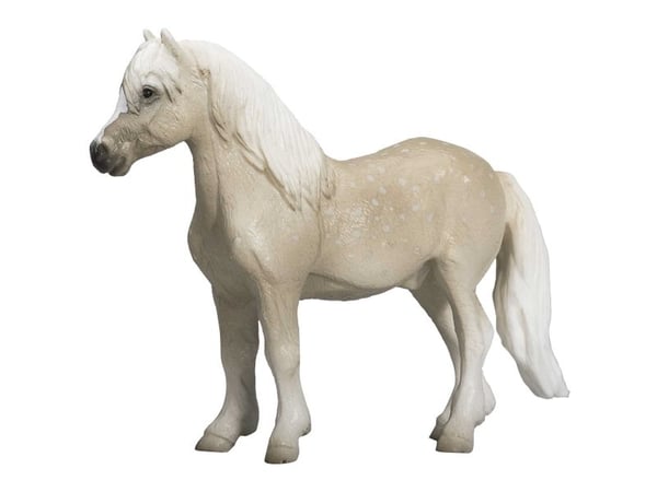 Mojo Welsh Pony