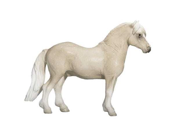 Mojo Welsh Pony
