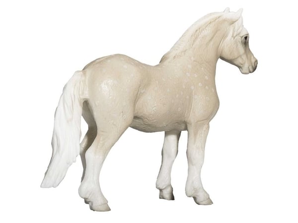 Mojo Welsh Pony