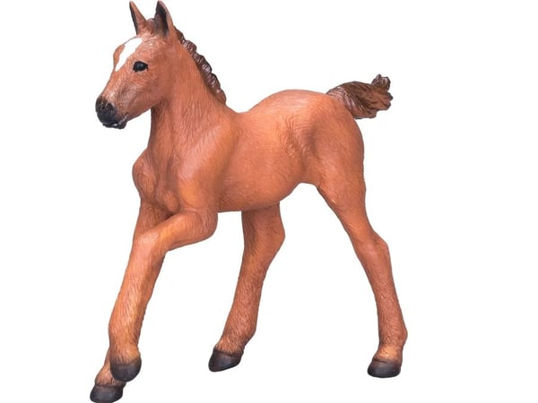 Mojo Arabian varsa, kastanja