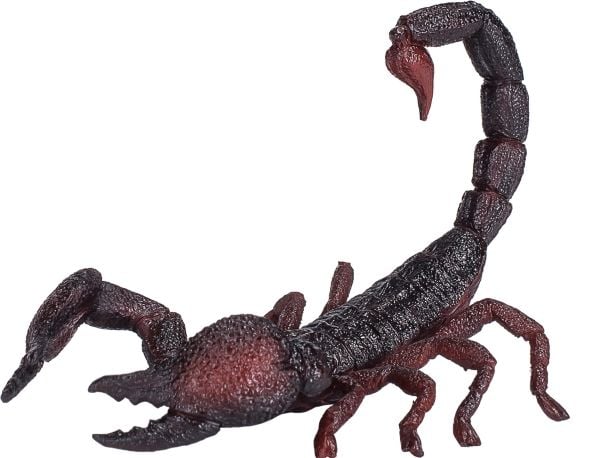 Mojo Kajser Scorpion