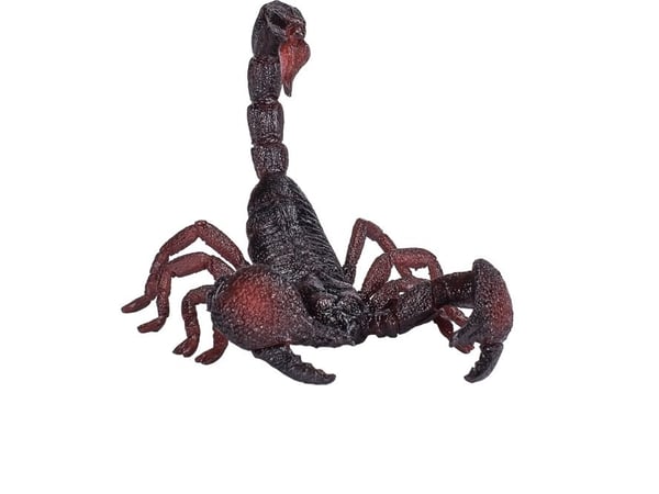 Mojo Kajser Scorpion