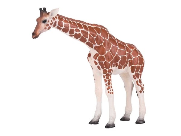 Mojo giraff hona